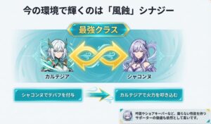 現環境で強力な風蝕ダメージシナジーを持つカルテジアとシャコンヌの組み合わせ解説